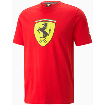 Vêtements Homme T-shirts manches courtes Puma - T-shirt Ferrari - rouge Rouge