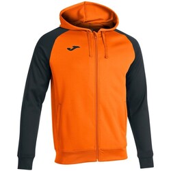 Vêtements Homme Sweats Joma Academy IV Noir, Orange