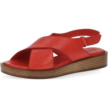 Chaussures Femme Sandales et Nu-pieds Caprice 9-9-28205-20 Sandales Rouge