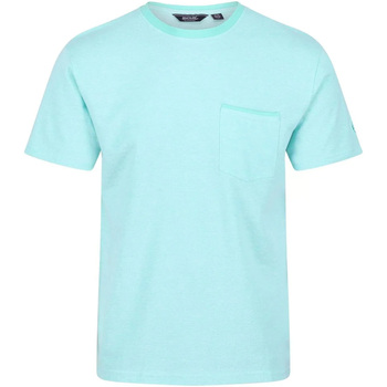 Vêtements Homme T-shirts manches longues Regatta Caelum Multicolore