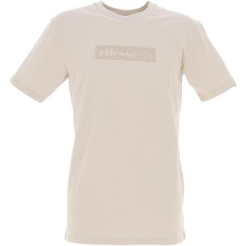 Vêtements Homme T-shirts manches courtes Ellesse Carpinone beige tee Beige