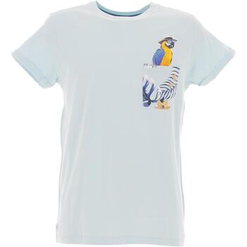 Vêtements Homme T-shirts manches courtes Deeluxe Parrot ts Bleu