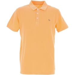 Vêtements Homme Polos manches courtes Benson&cherry Signature polo mc Orange