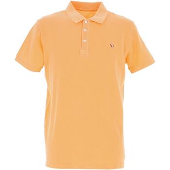 Vêtements Homme Polos manches courtes Benson&cherry Signature polo mc Orange