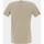Vêtements Homme T-shirts manches courtes Superdry Vintage vl neon tee canyon sand brown Beige