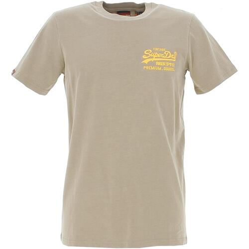 Vêtements Homme T-shirts manches courtes Superdry Vintage vl neon tee canyon sand brown Beige