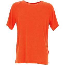 Vêtements Homme Automne / Hiver Regatta Ambulo Orange