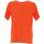 Vêtements Homme T-shirts & Polos Regatta Ambulo Orange