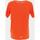Vêtements Homme T-shirts & Polos Regatta Ambulo Orange