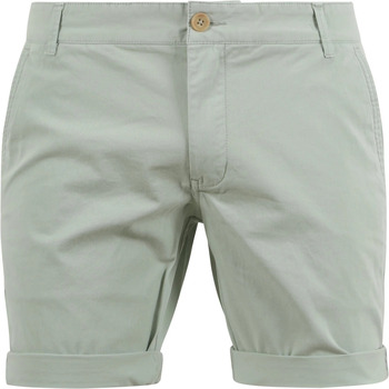 Vêtements Homme Pantalons Suitable Calça Jeans Capri Linha Comfort 36 Gazzy Vert