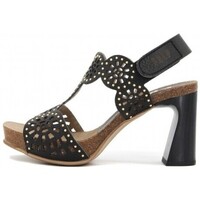 Chaussures Femme Pulls & Gilets Penelope  Noir