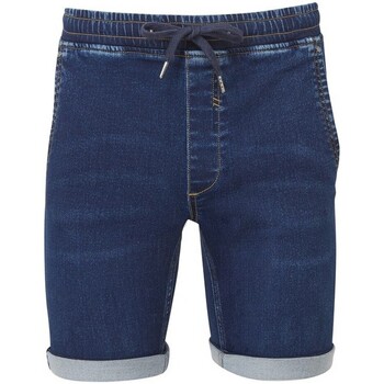 Vêtements Homme Shorts / Bermudas The Wombats WB907 Bleu
