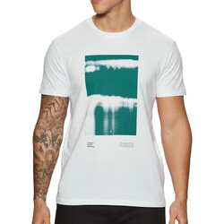 Vêtements Homme T-shirts manches courtes Globe GB02130006 Blanc