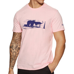 Vêtements Homme T-shirts manches courtes Globe GB02130004 Rose