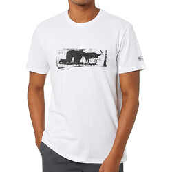 Vêtements Homme T-shirts manches courtes Globe GB02130004 Blanc