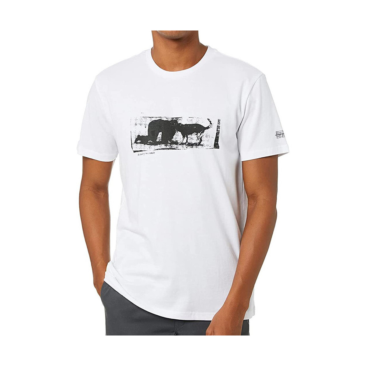 Vêtements Homme T-shirts & Polos Globe GB02130004 Blanc