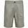 Vêtements Homme Shorts / Bermudas Selected Comfort-Jones Linen - Vetiver Vert