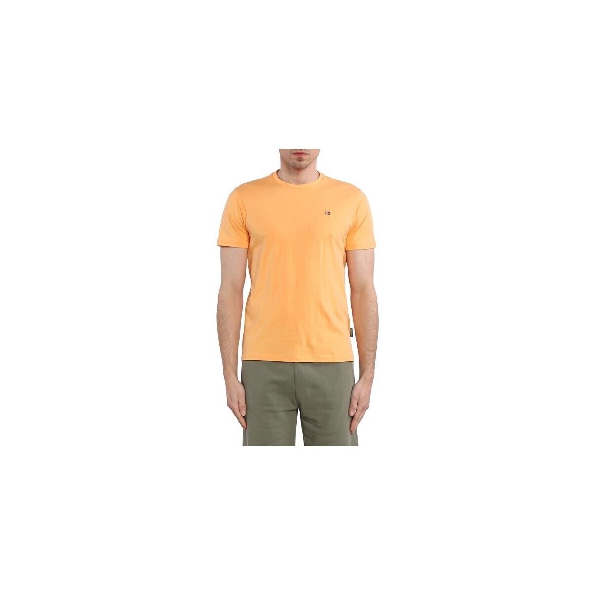 Vêtements Homme T-shirts manches courtes Napapijri Salis SS Sum Orange