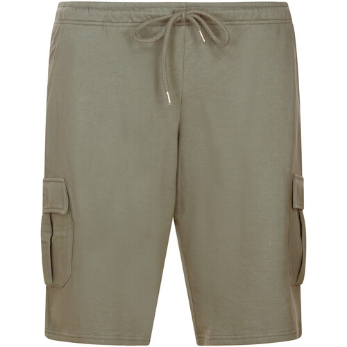 Vêtements Homme Shorts / Bermudas Redfield Short coton droit Gris