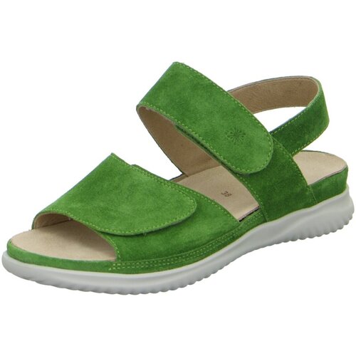Chaussures Femme Sandales et Nu-pieds Hartjes  Vert
