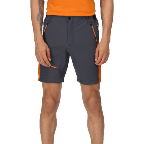 Vêtements Homme Shorts / Bermudas Regatta Highton Pro Orange