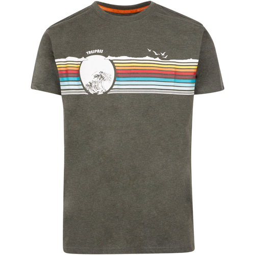 Vêtements Homme T-shirts manches longues Trespass Lakehouse Multicolore