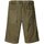 Vêtements Homme Shorts / Bermudas White Sand Cargo Vert
