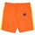Vêtements Garçon Maillots / Shorts de bain Redskins RDS-20289-JR Orange