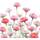 Maison & Déco Vides poches Ambiente Mini plateau vide poche rectangulaire pâquerettes roses Blanc