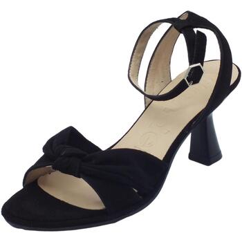 Chaussures Femme Petit : 1 à 2cm Wonders F-8105 Ante Noir