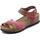 Chaussures Femme Sandales et Nu-pieds Sabatini 4008 Crazy Multi A Multicolore
