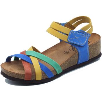 Chaussures Femme Sandales et Nu-pieds Sabatini 4008 Crazy Multi B Multicolore