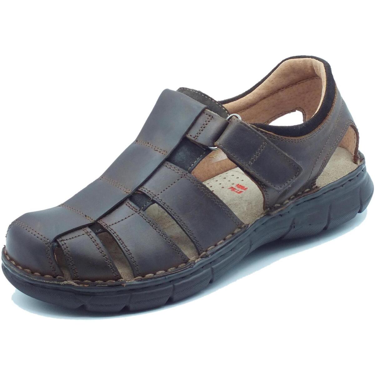 Chaussures Homme Sandales et Nu-pieds Zen 678259 Marron