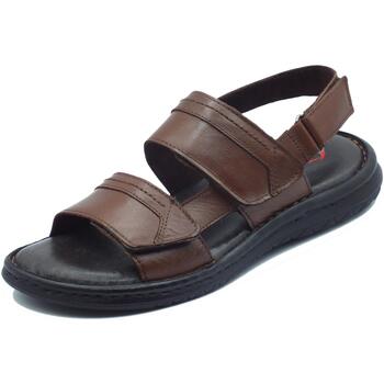 Chaussures Homme Sandales et Nu-pieds Zen 678719 Marron