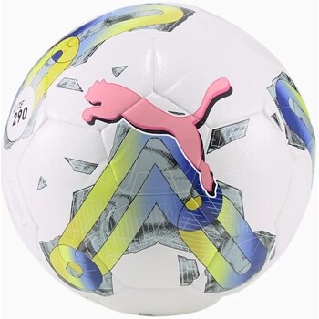 Accessoires Ballons de sport Puma Scott M Vertic Gtx® 3L Stretch Pantsrid Lite 290 Blanc, Bleu
