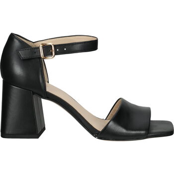 Chaussures Femme Sandales et Nu-pieds Högl 5-106520 Sandales Noir