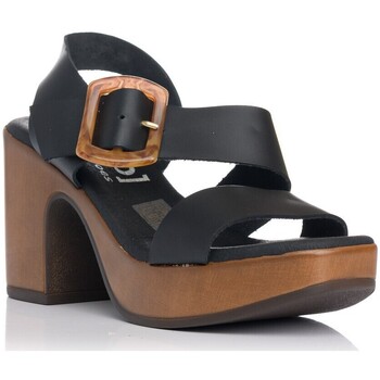 Chaussures Femme Sweats & Polaires Zapp 5245 Noir