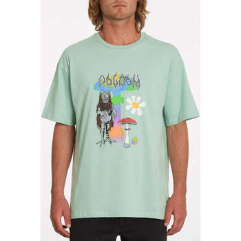 Vêtements Homme T-shirts puma manches courtes Volcom Camiseta  Chrissie Abbott x French Lichen Green Vert