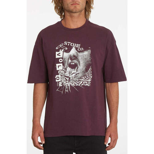 Vêtements Homme T-shirts crewneck manches courtes Volcom Camiseta  Safetytee Mulberry Violet