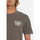 Vêtements Homme T-shirts manches courtes Volcom Camiseta  Mystic Magic SS Tee Storm Cloud Gris