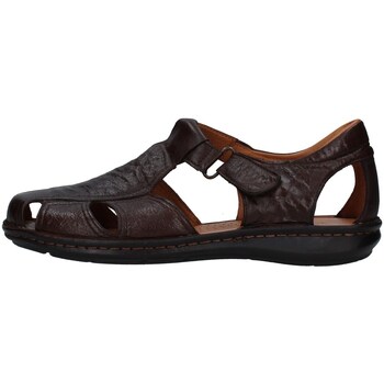 Chaussures Homme Veuillez choisir votre genre Melluso U75132D Marron