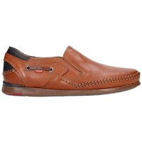 Chaussures Homme Derbies & Richelieu Fluchos 9883  Cuero Marron