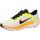 Chaussures Homme Fitness / Training Nike AIR WINFLO 10 Blanc