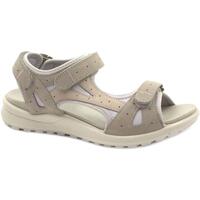 Chaussures Femme Sandales et Nu-pieds Legero LEG-E23-600732-2900 Gris