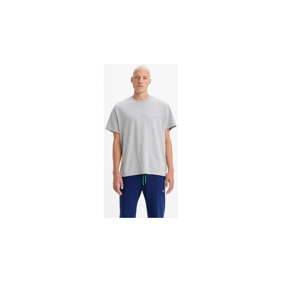 Vêtements Homme T-shirts & Polos Levi's A3757 0016 - GOLD TAB TEE-VINTAGE GREY Gris