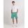 Vêtements Homme Shorts / Bermudas Franklin & Marshall JM4035.2014G46-108 Vert