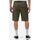Vêtements Homme Shorts / Bermudas Dickies MILLERVILLE SHORT - DK0A4XED-MGR1 - MILITARY GREEN Gris