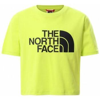 Vêtements Enfant T-shirts & Polos The North Face Easy Cropped Tee Vert