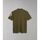 Vêtements Homme T-shirts Statement & Polos Napapijri E-AMUNDSEN NP0A4H6A-GAE1 GREEN LICHEN Vert