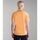 Vêtements Homme T-shirts & Polos Napapijri GANDY 4 - NP0A4H8R-A571 ORANGE MOCK Orange